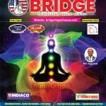 Bridge Monthly Magazine – Connecting The Community, Georgia