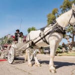 Fairytale Carriages, California