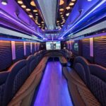 Igport Limos, Arlington, TX