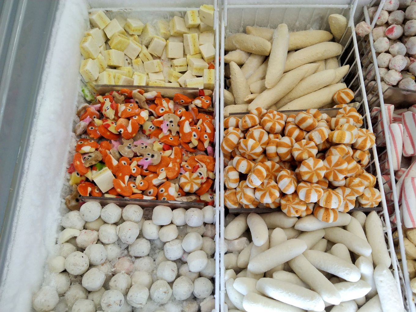 Subha Cold Store Exploring Suvidha Grocery Chain, USA