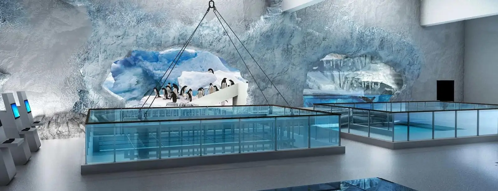 Aquarium & Underwater Zoo - Penguin Encounter, Dubai