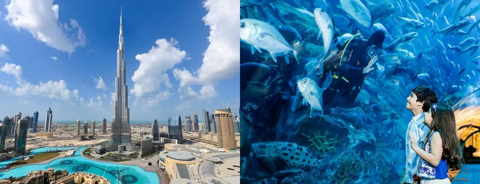 At the Top, Burj Khalifa and Dubai Aquarium, Dubai