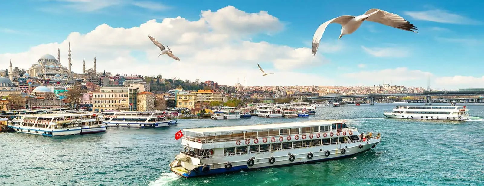 Bosphorus Boat Cruise, Istanbul