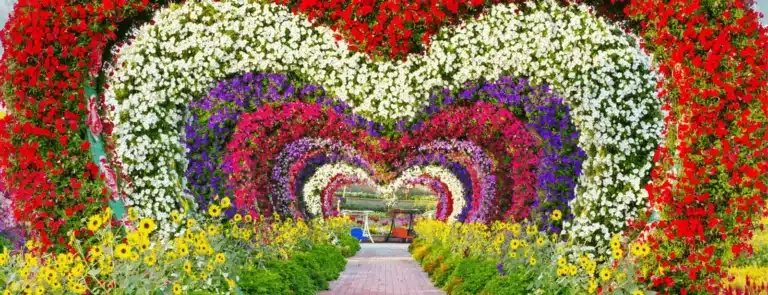 Dubai Miracle Garden, Dubai Dubai Miracle Garden, Dubai