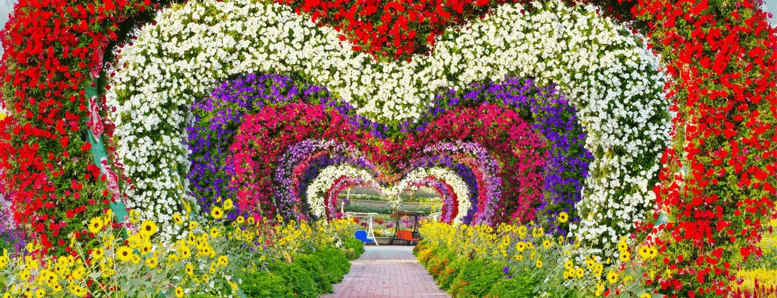 Dubai Miracle Garden, Dubai