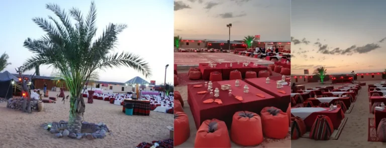 Dubai Sunset Safari with Camel Ride & BBQ Dinner, Dubai Dubai Sunset Safari with Camel Ride & BBQ Dinner, Dubai