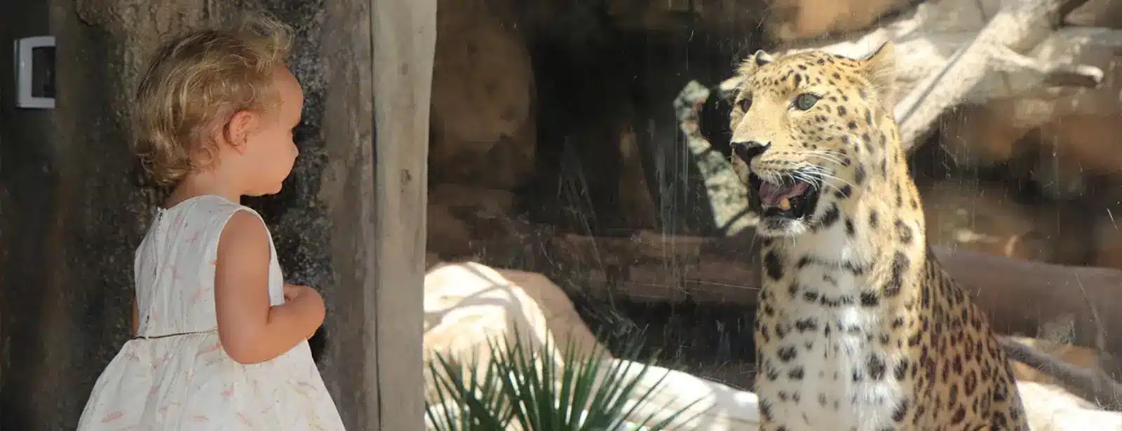 Emirates Park Zoo, Abu Dhabi