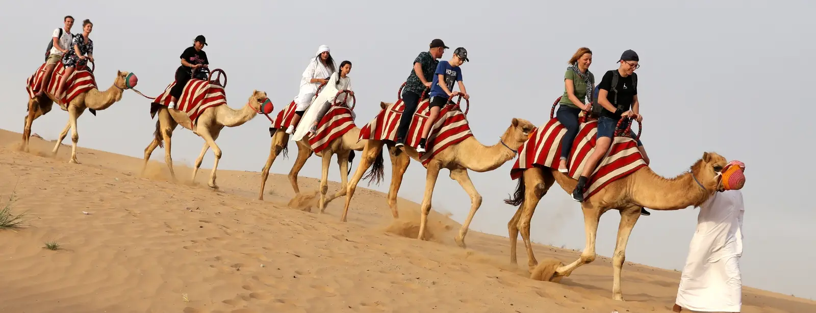 Premium Red Dunes Safari with Camel Ride 3 Cuisines at Al Khayma Camp Dubai