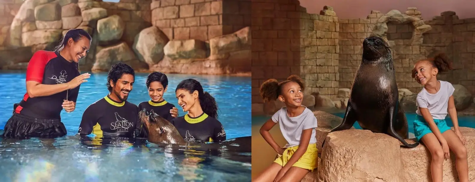 Sea Lion Experiences at Atlantis The Palm Dubai