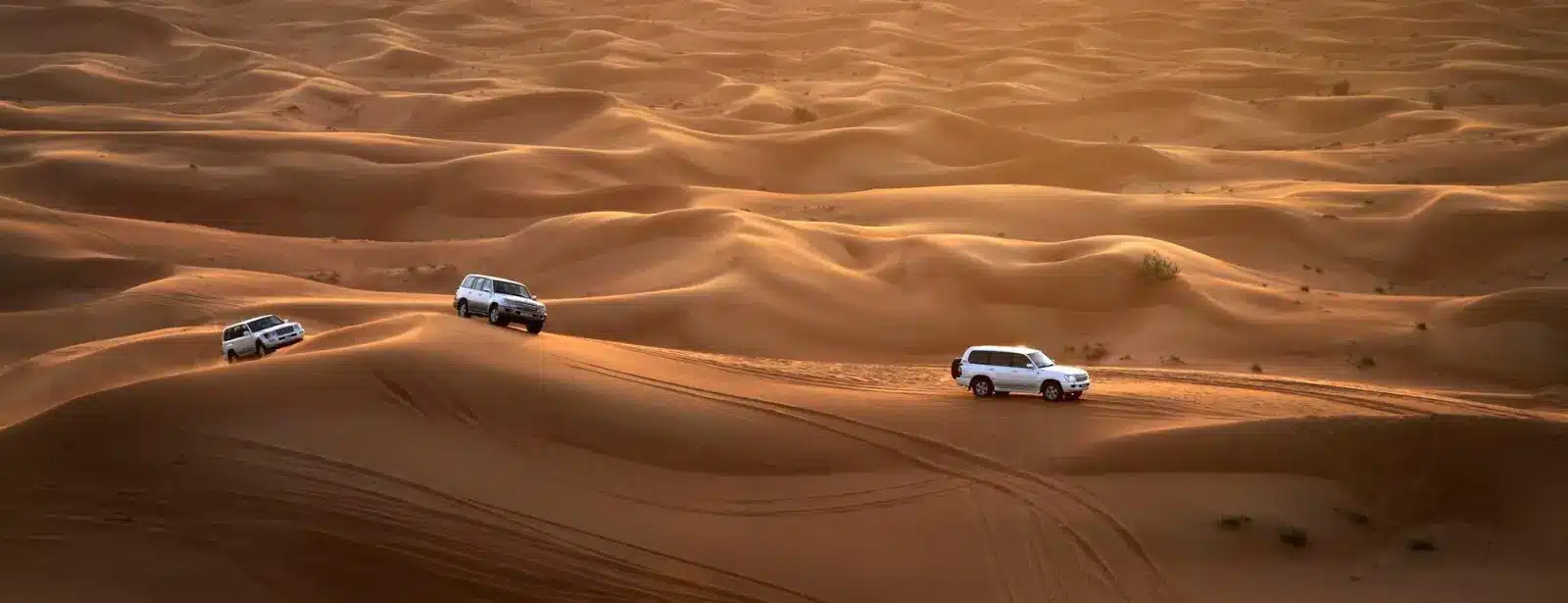 Sunset Desert Safari with BBQ Camel Ride & Sandboarding, Abu Dhabi