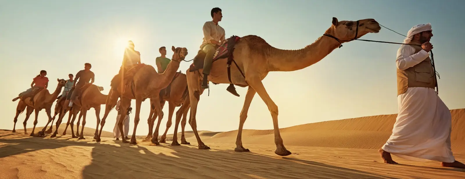 Camel Trekking Experience In Abu Dhabi With Transfers In Land Cruiser, Abu Dhabi