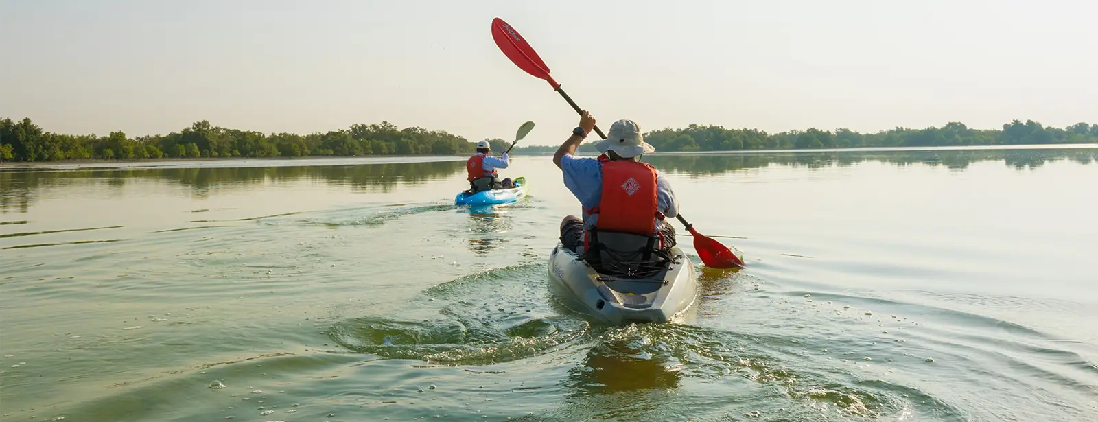 Guided Kayak Tour in the Reem Central Park Mangroves Abu Dhabi