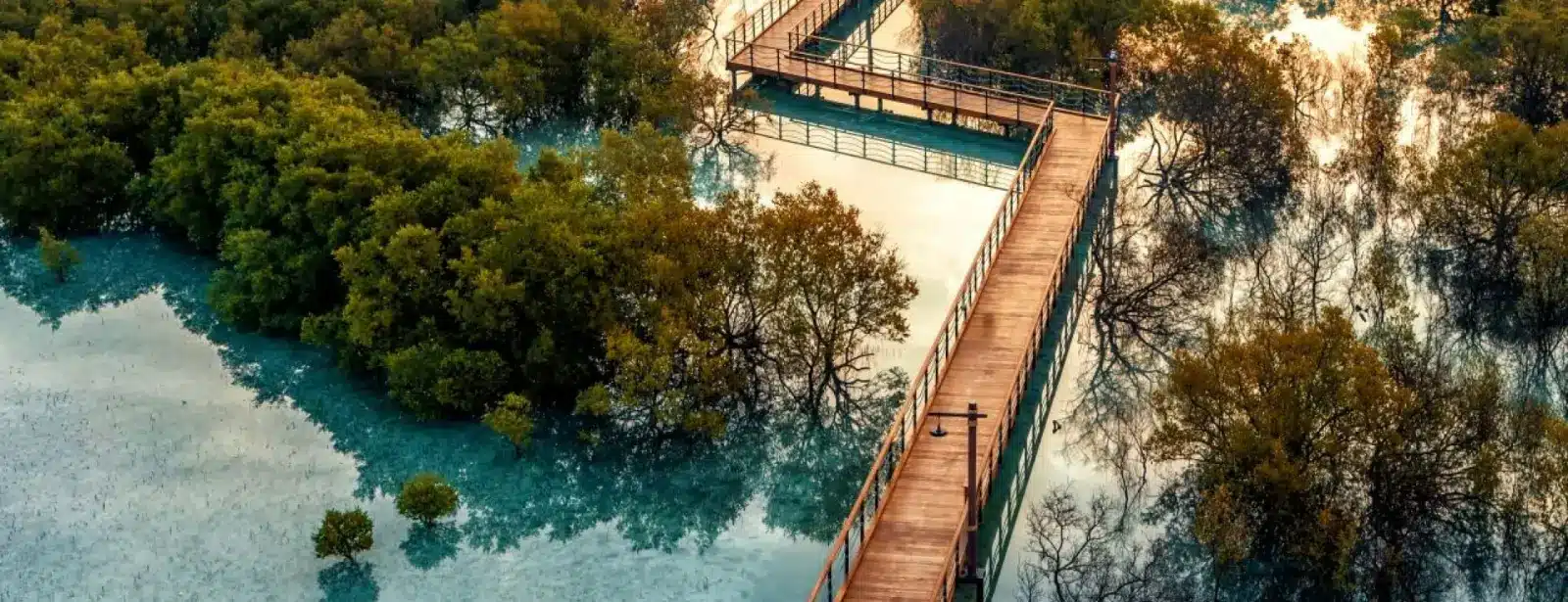 Jubail Mangrove Park - Boardwalk Experience, Abu Dhabi