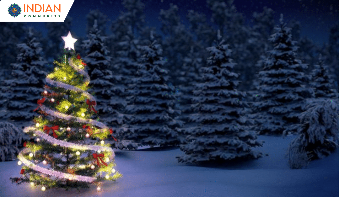 Which Christmas Tree Is Best for Your Holiday Season