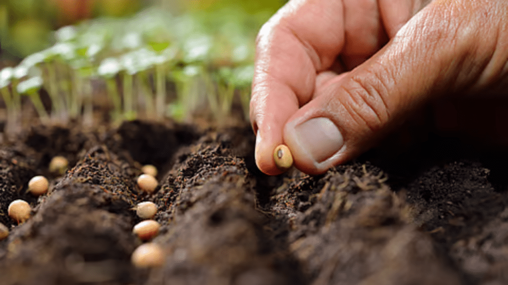 India’s Second National Gene Bank Safeguarding Food Security for the Future