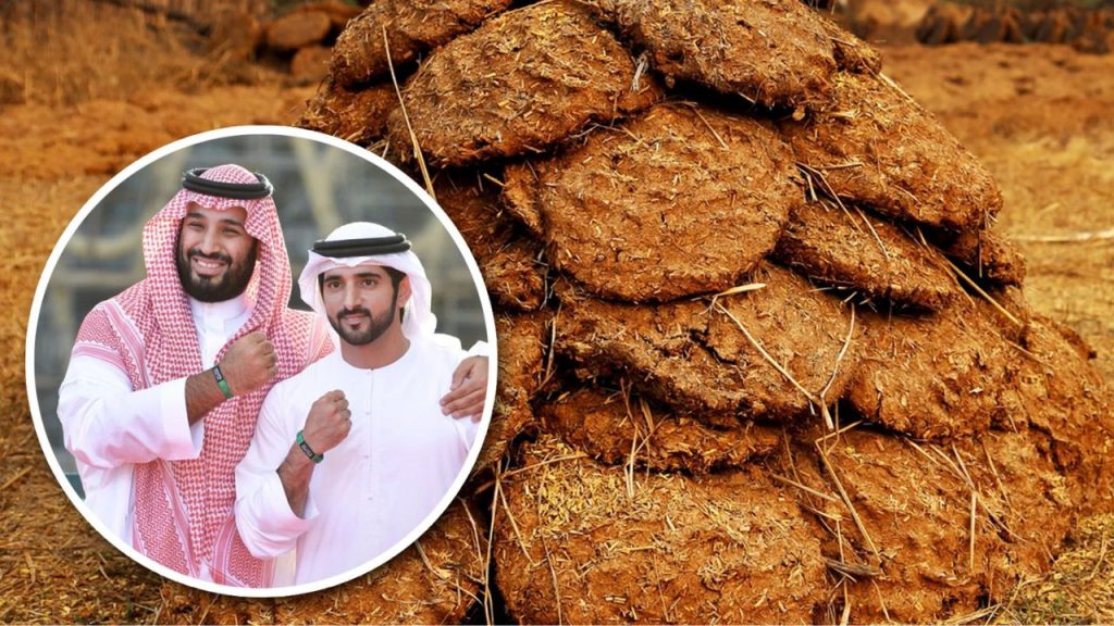 India’s Unlikely Billion-Dollar Export to Arab Nations for Date Farming