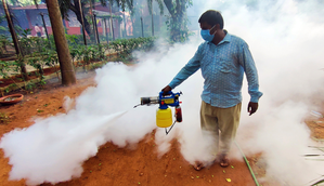 Dengue, chikungunya to become endemic in Europe, need proactive actions to mitigate: Study
