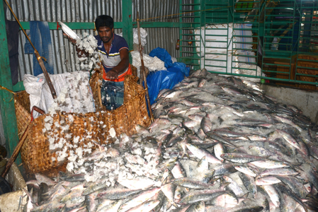 India’s seafood exports surge despite global uncertainties