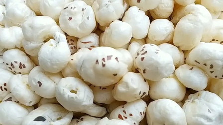 National symposium charts roadmap for Makhana as Bihar’s rural growth engine