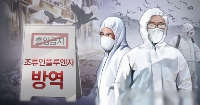 S. Korea suspends imports of Brazilian poultry after bird flu outbreak at chicken farm