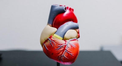 Only 3 out of 5 heart failure patients see cardiologist at least once a year: Study