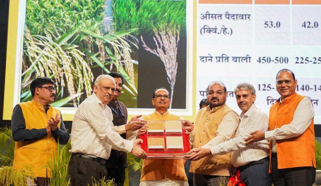 India Leads Global Agricultural Innovation with Genome-Edited Rice Varieties