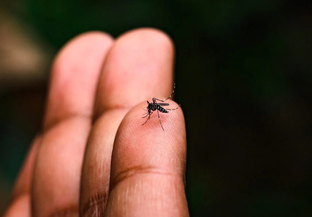 India's First Broad-Spectrum Dengue Vaccine: A 2026 Reality