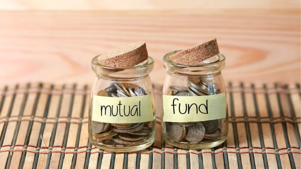 Flexi Cap vs Multi Cap Funds: Which is the Better Investment for NRIs?