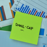Best Small-Cap Mutual Funds for NRIs to Invest in 2025