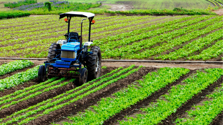 Can NRIs Really Buy Agricultural Land in India