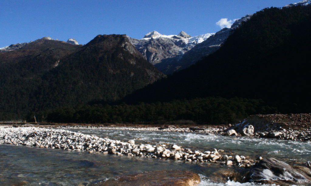 Yumthang Valley