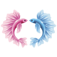 Pisces Free Horoscope Today Indian Community Astrology