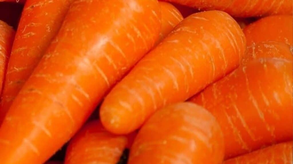 Carrots