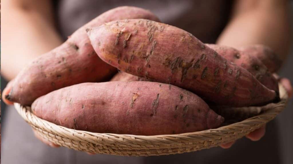 Sweet Potato Chips Recipe: The Crispy Snack That's Actually Good for You 3 Drain and Dry Thoroughly Critical Step