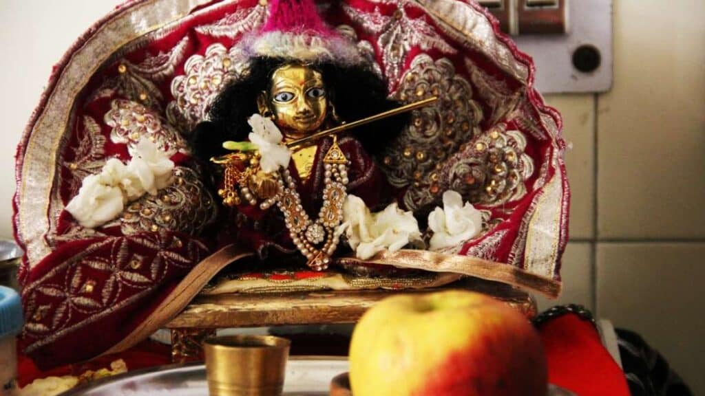 Krishna Janmashtami : Festival of Celebrating the Birth of Lord Krishna 3 lord krishna