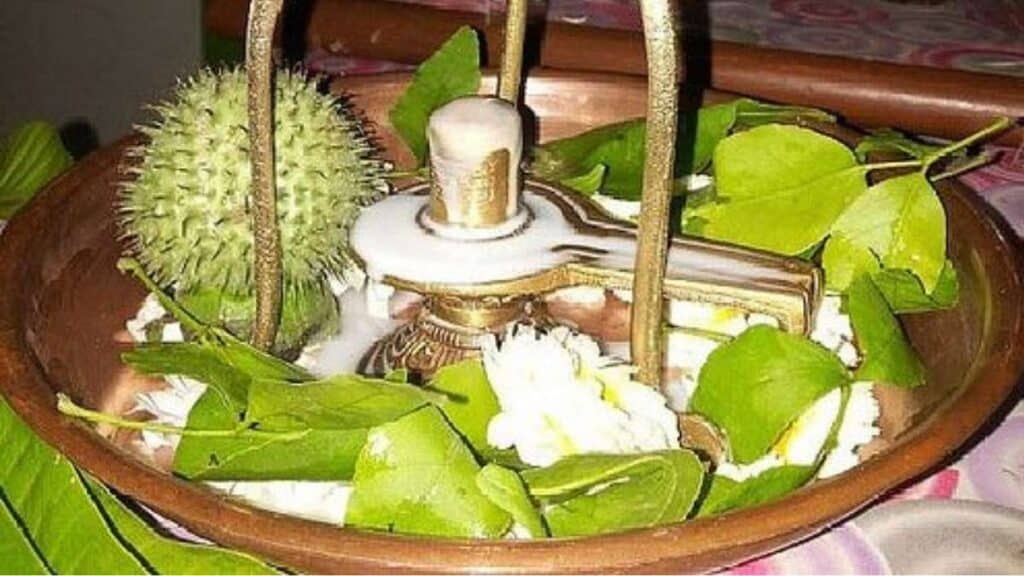 Maha shivratri festival