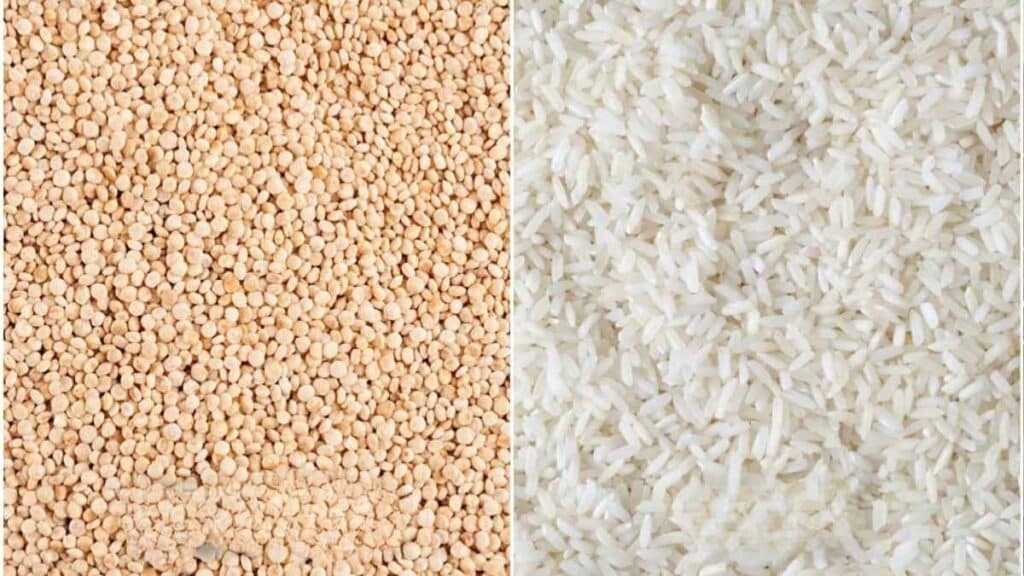 Quinoa vs Rice
