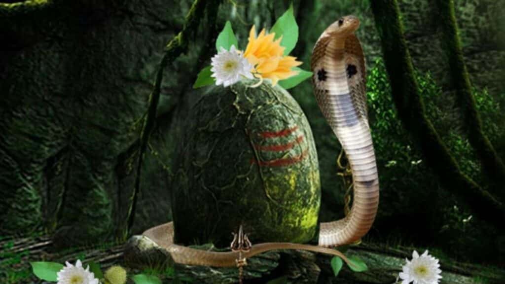 Nag Panchami festival
