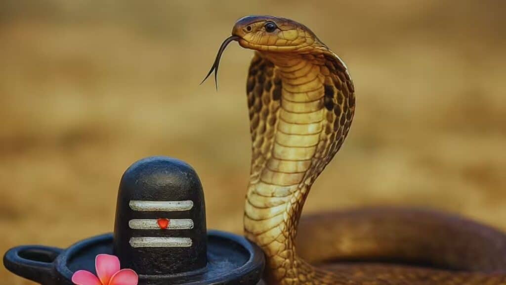 Nag Panchami festival