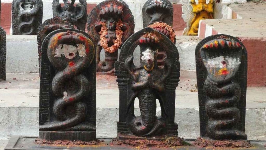 Nag Panchami festival