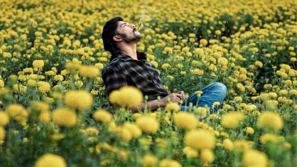 Mango Pachcha movie review